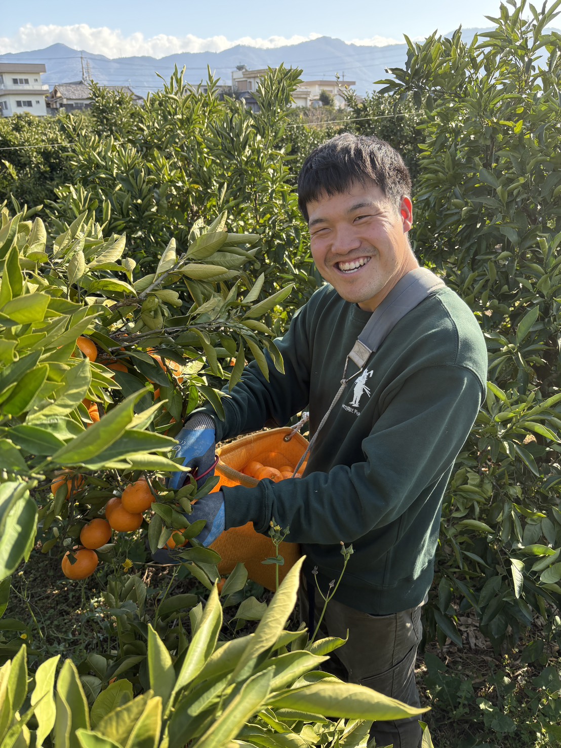 アンスリーさん