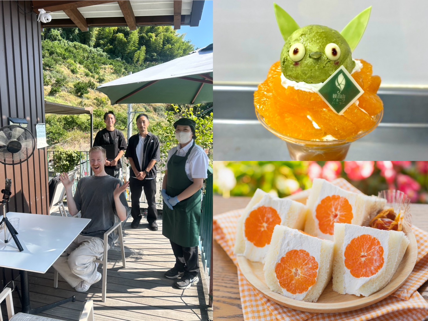 インフルエンサー