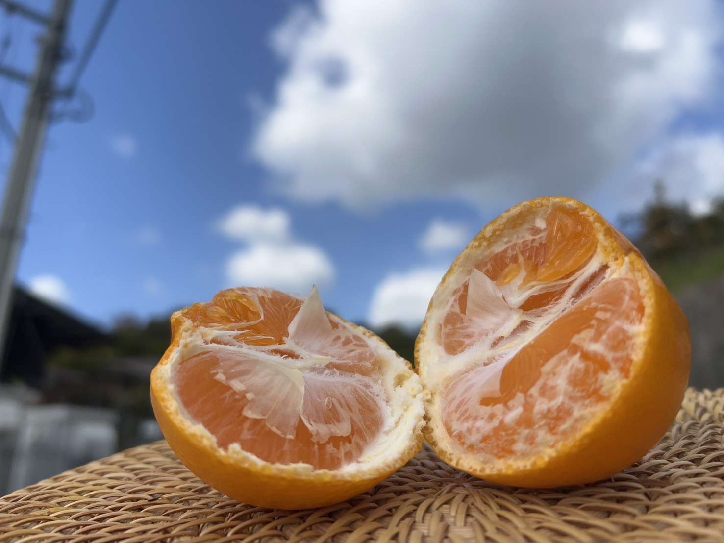 甘姫小町みかん