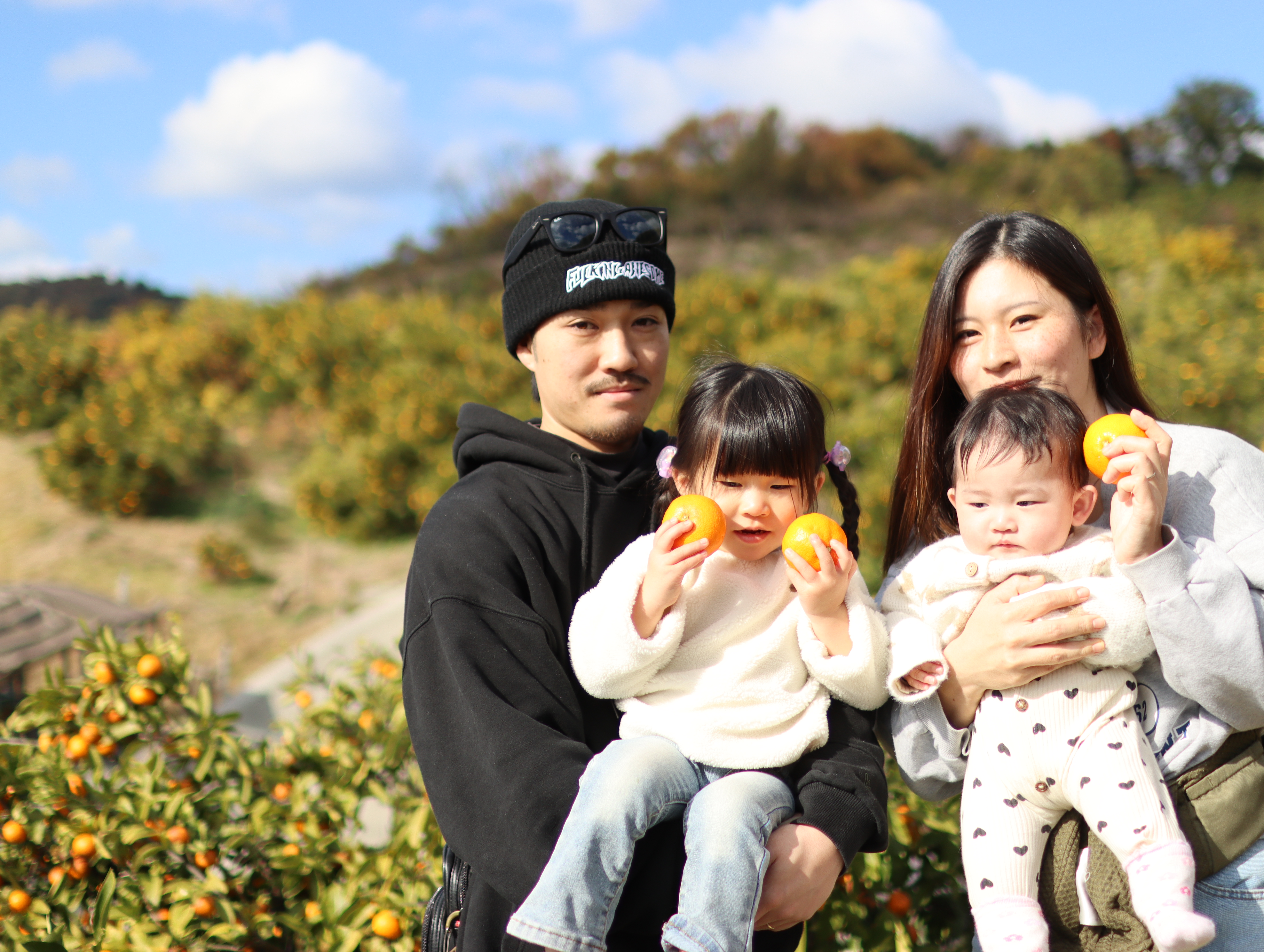 みかん狩り