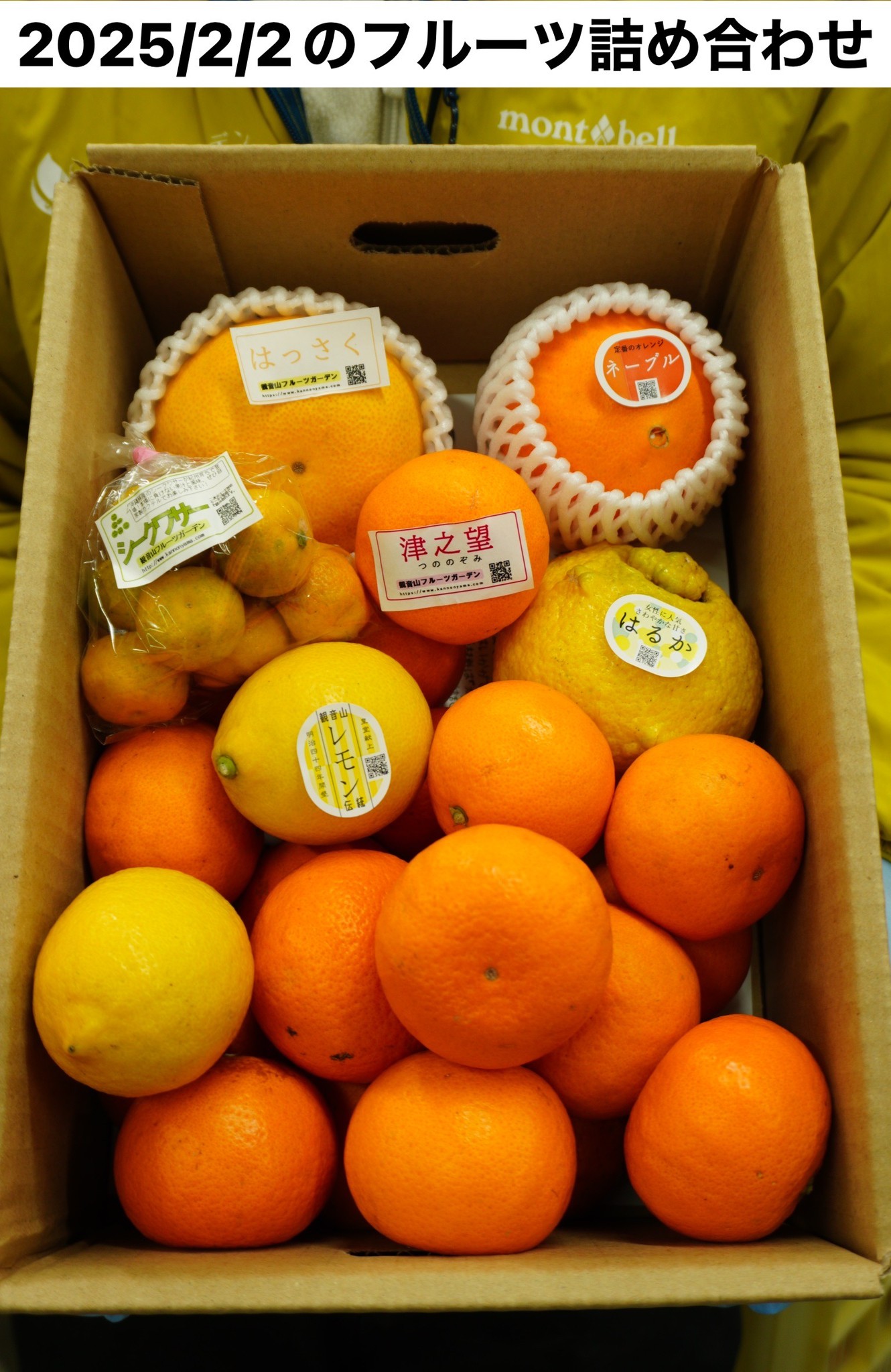 詰合せ