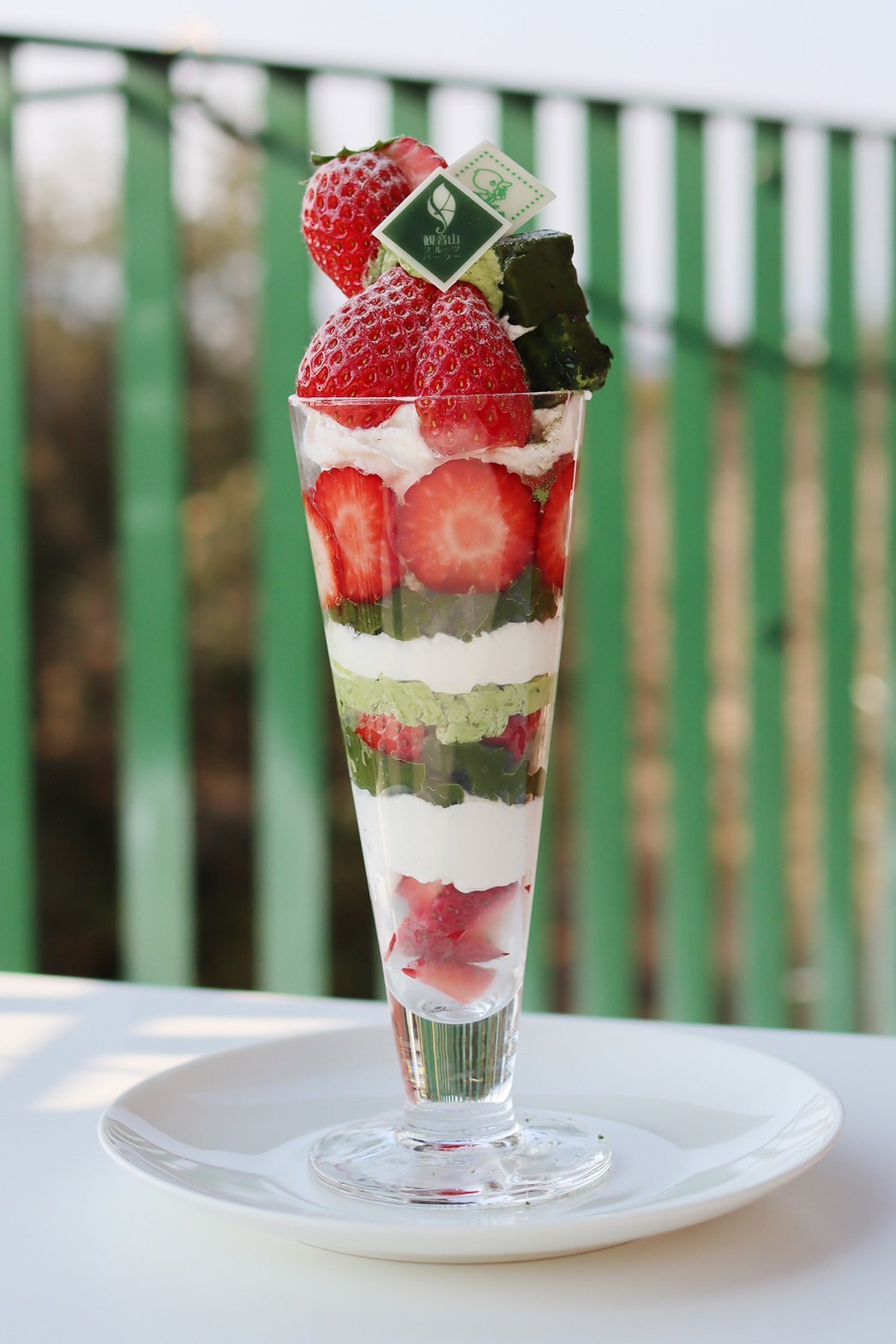 大変お待たせしました！ブラッドオレンジ始まりました！（観音山