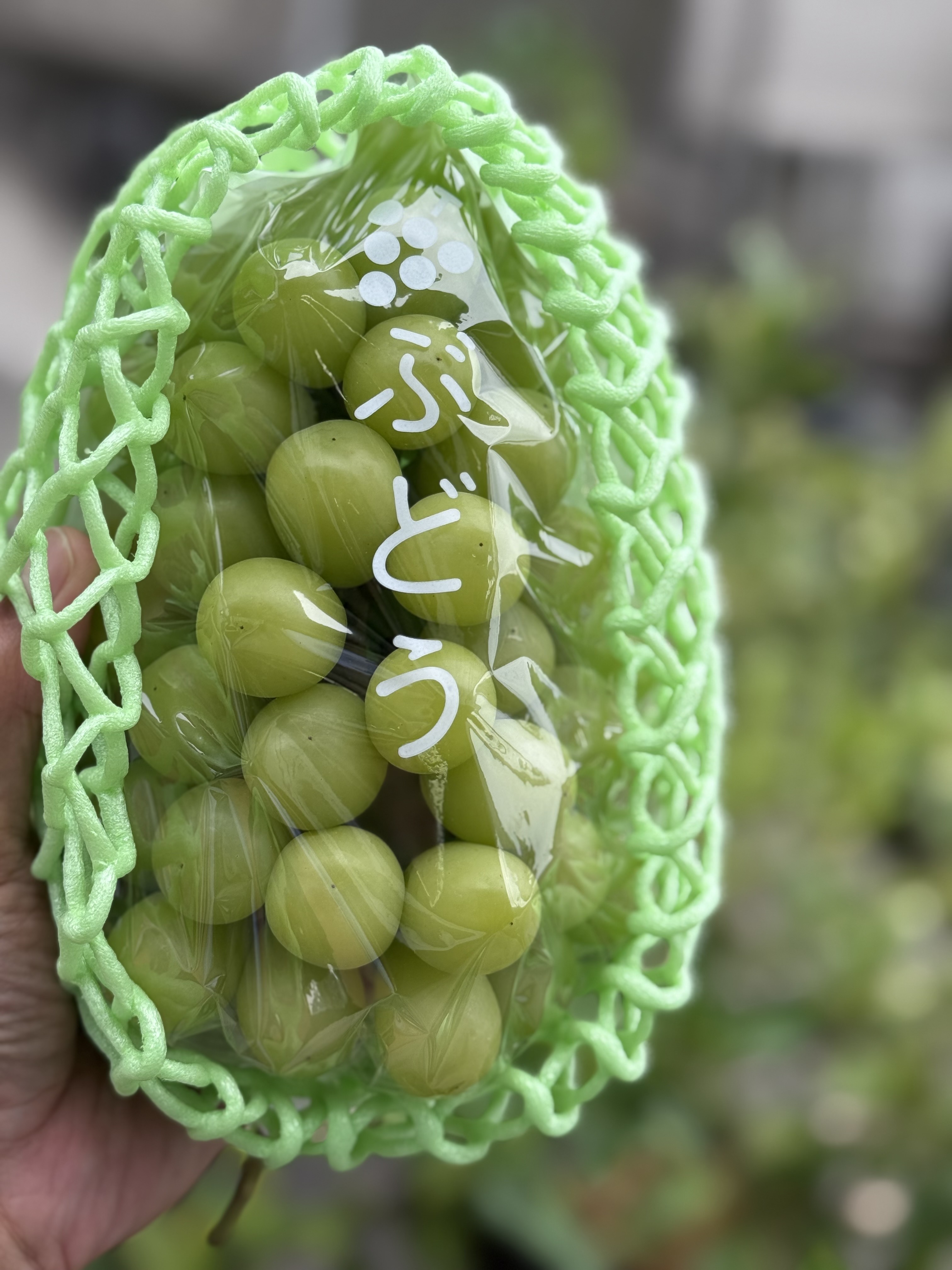 シャインマスカット