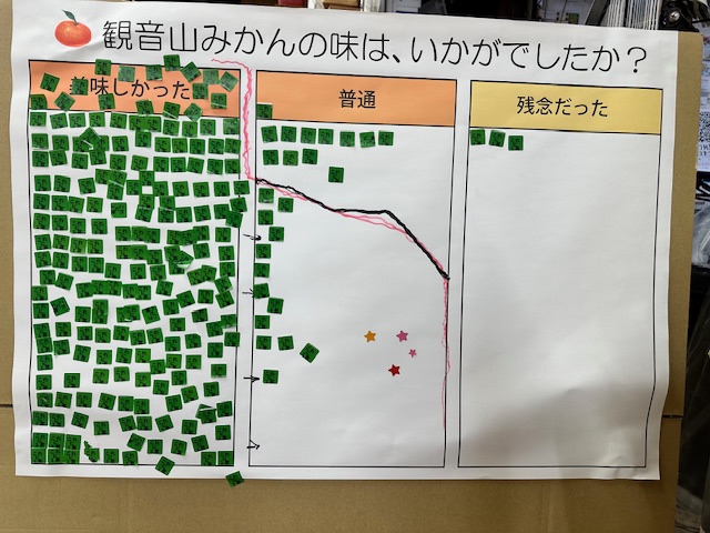 みかん狩り結果