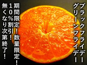 ブラックフライデー