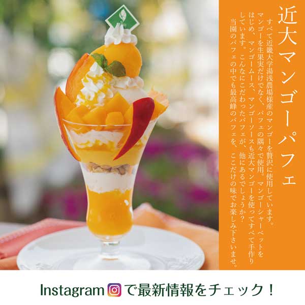近大マンゴーパフェ