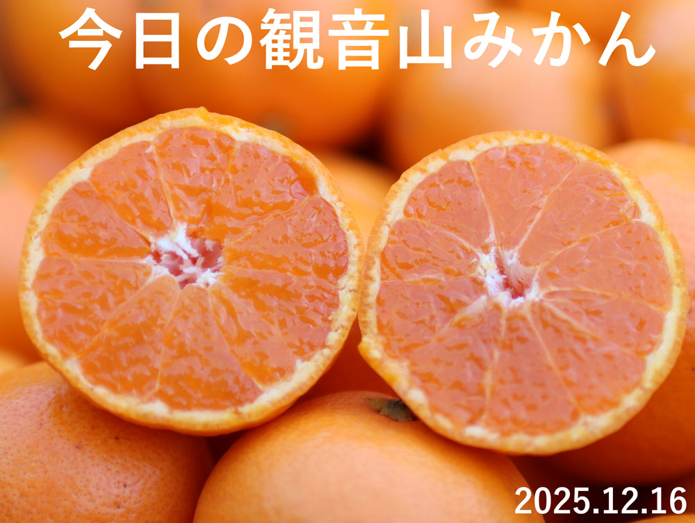 みかん