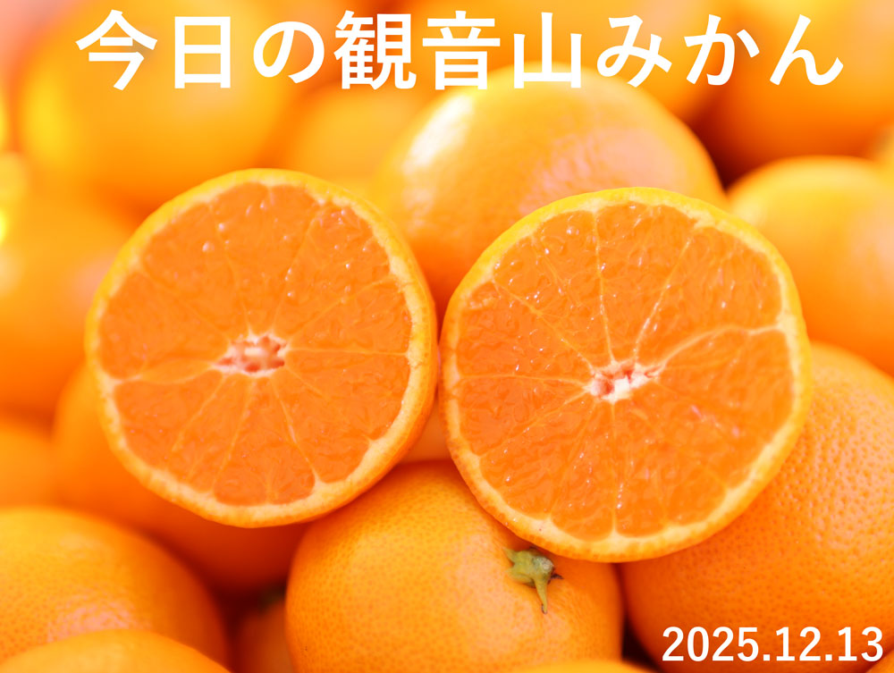 甘姫小町みかん