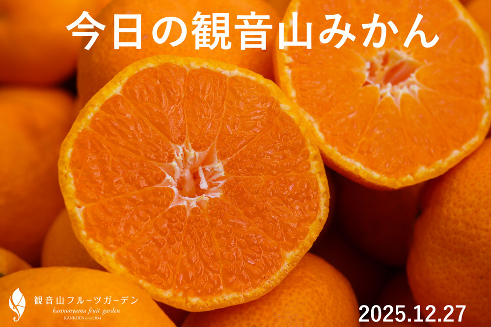 甘姫小町みかん