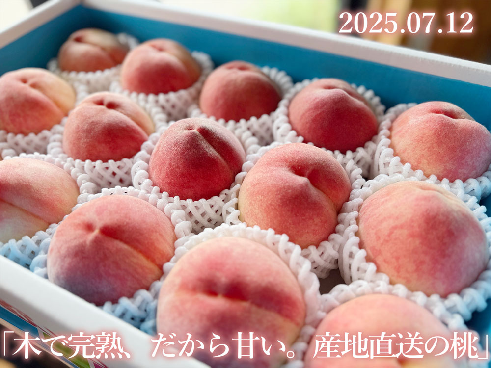 桃