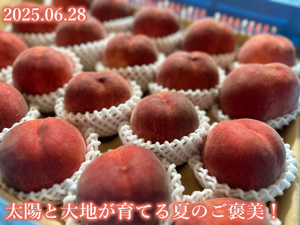 桃
