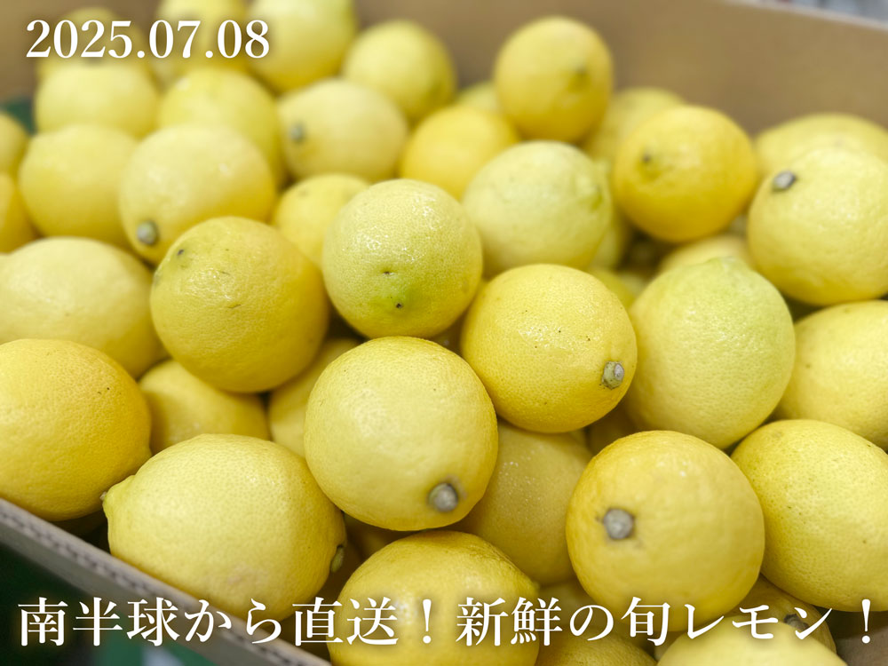 ニュージーレモン