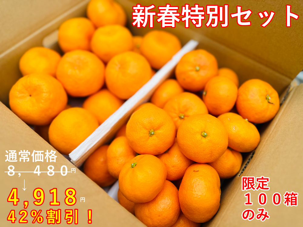 特別セット