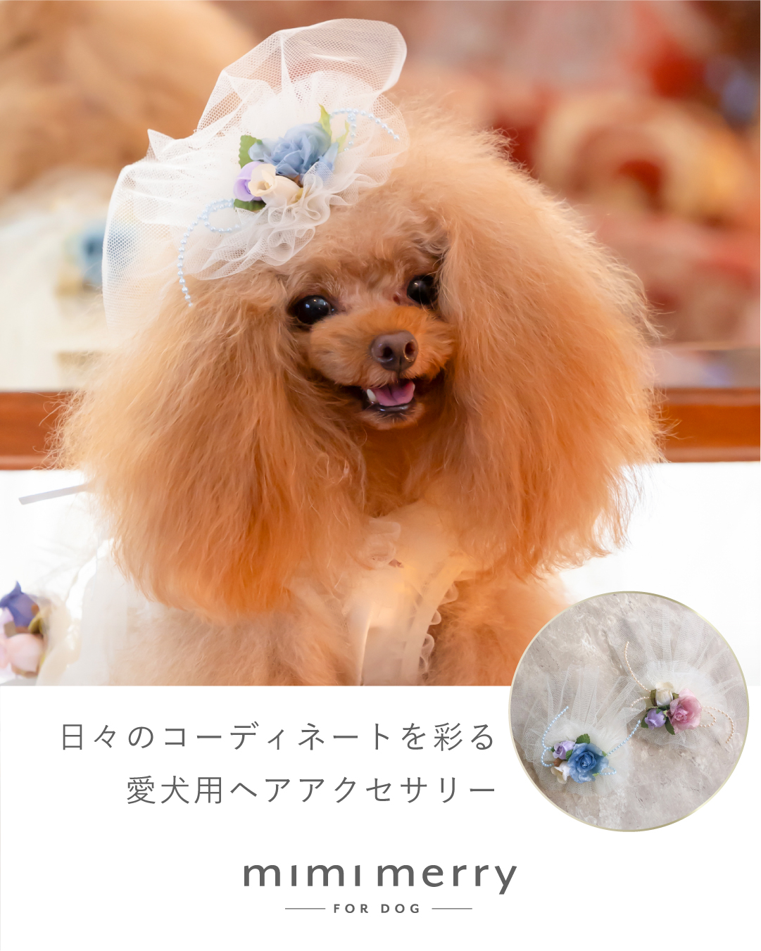 ペットアクセ ペット用ヘアーアクセサリー 犬アクセ ドッグアクセ  ドッグ用アクセ ドッグ dog 犬