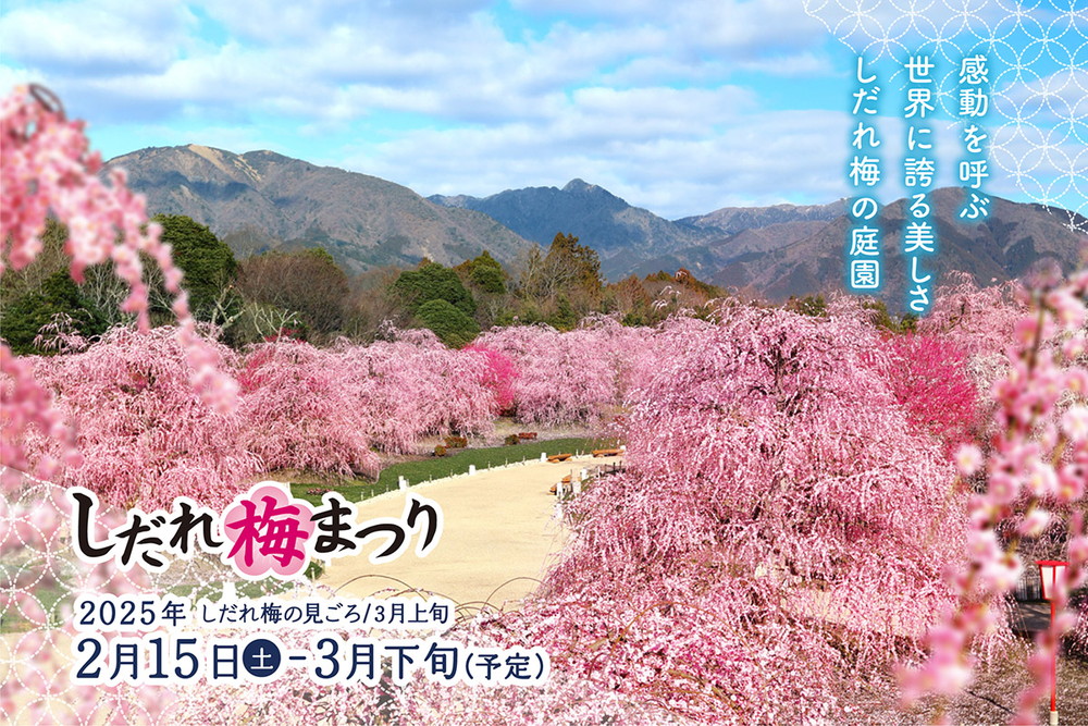 鈴鹿の森庭園しだれ梅まつり