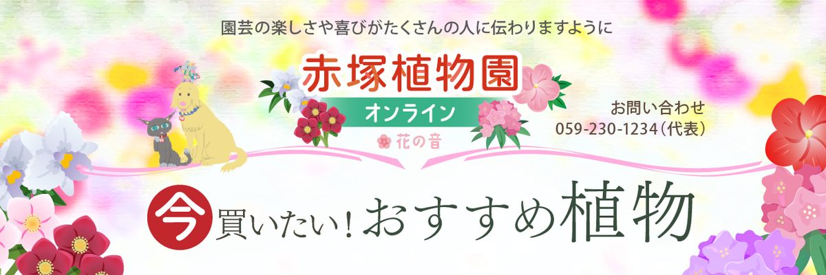 赤塚植物園オンライン花の音バナー