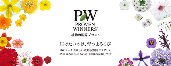 PWシリーズ
