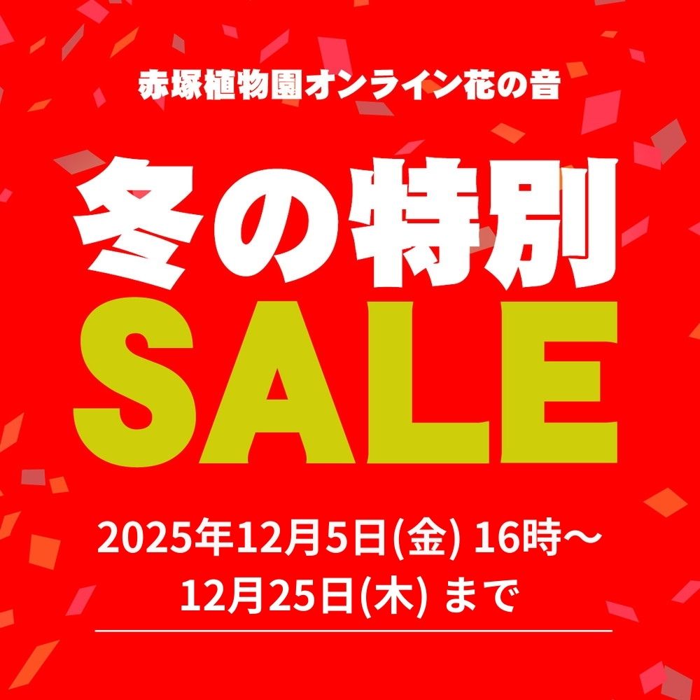 ウィンターセール