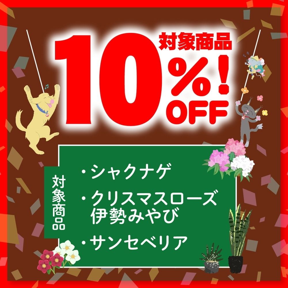 ウィンターセール