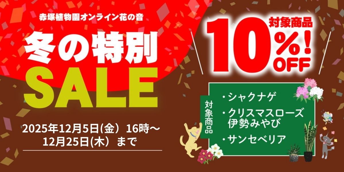 ウィンターセール