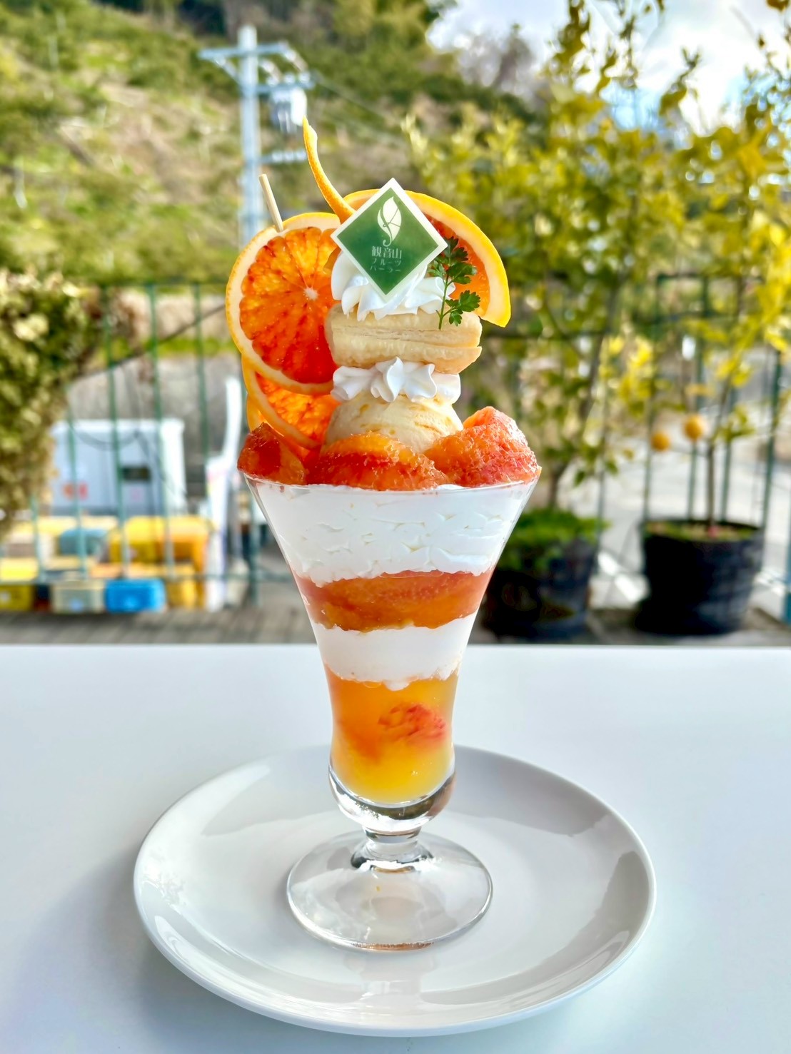 柑橘パフェBO