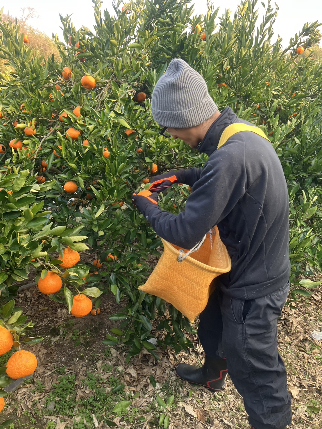 寒河江市三浦さん