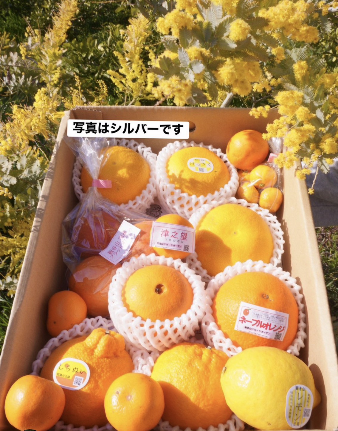 詰合せ