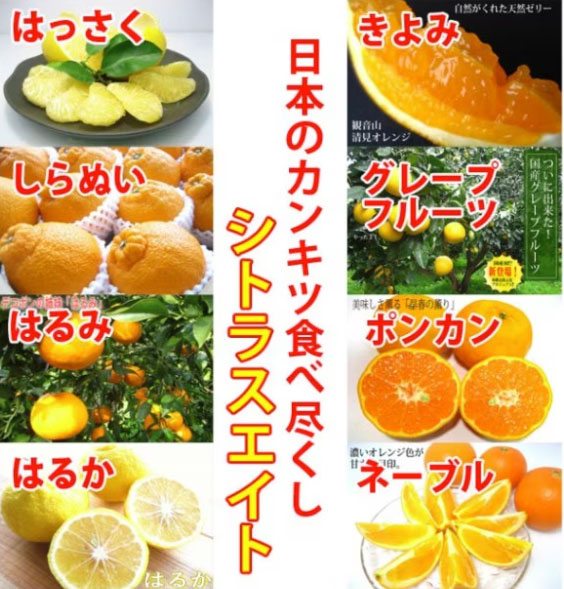 シトラスリレー