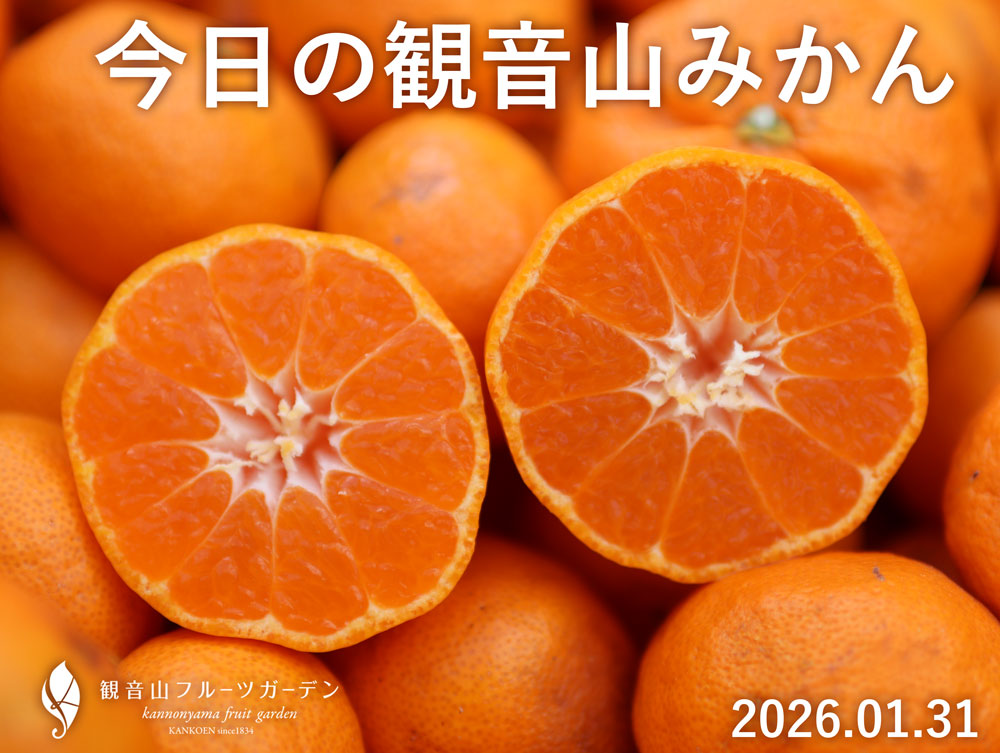 みかん