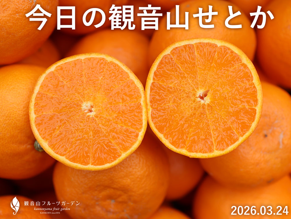 せとか