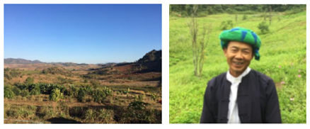 ミャンマーのハーブ畑とリンレイ村のウサインさん