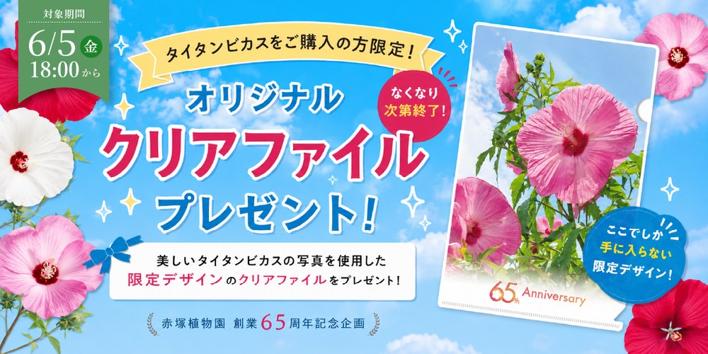 クリアファイルプレゼント