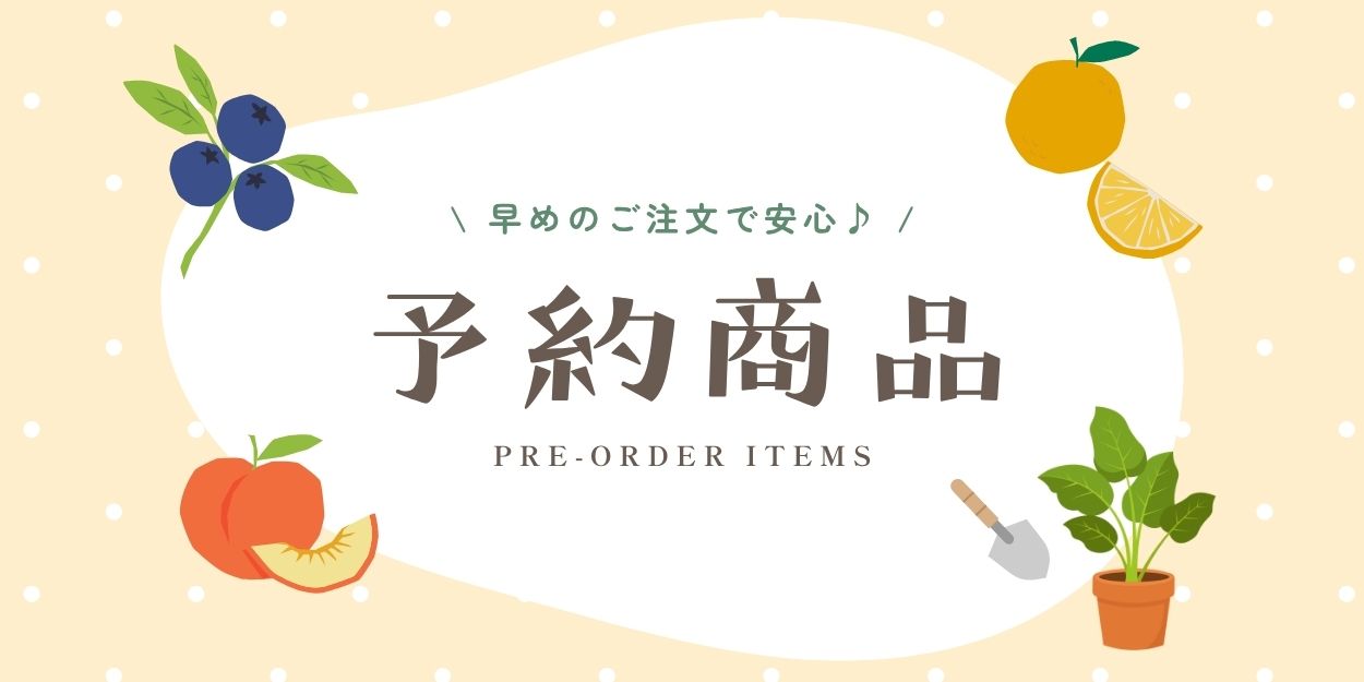 新商品入荷♪ 人気上昇中！オージープランツ＜メールマガジン ミニ＞