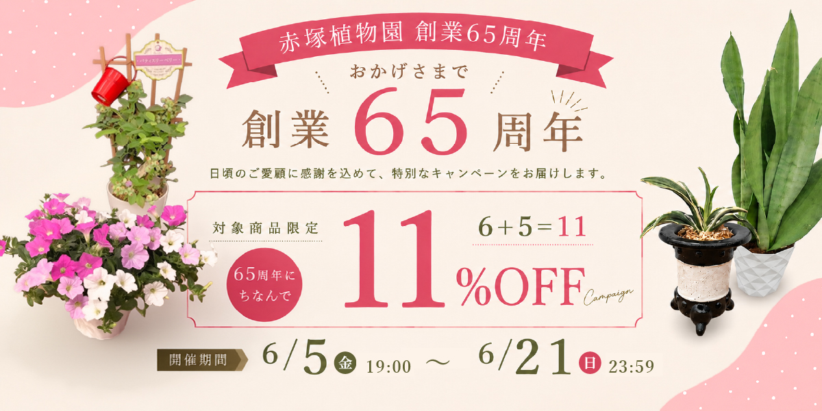 創業65周年企画