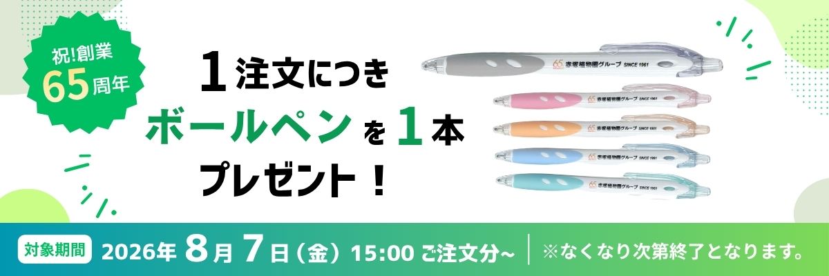 65周年企画