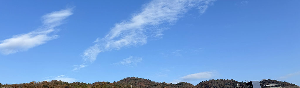 木曽檜歯みがきジェル