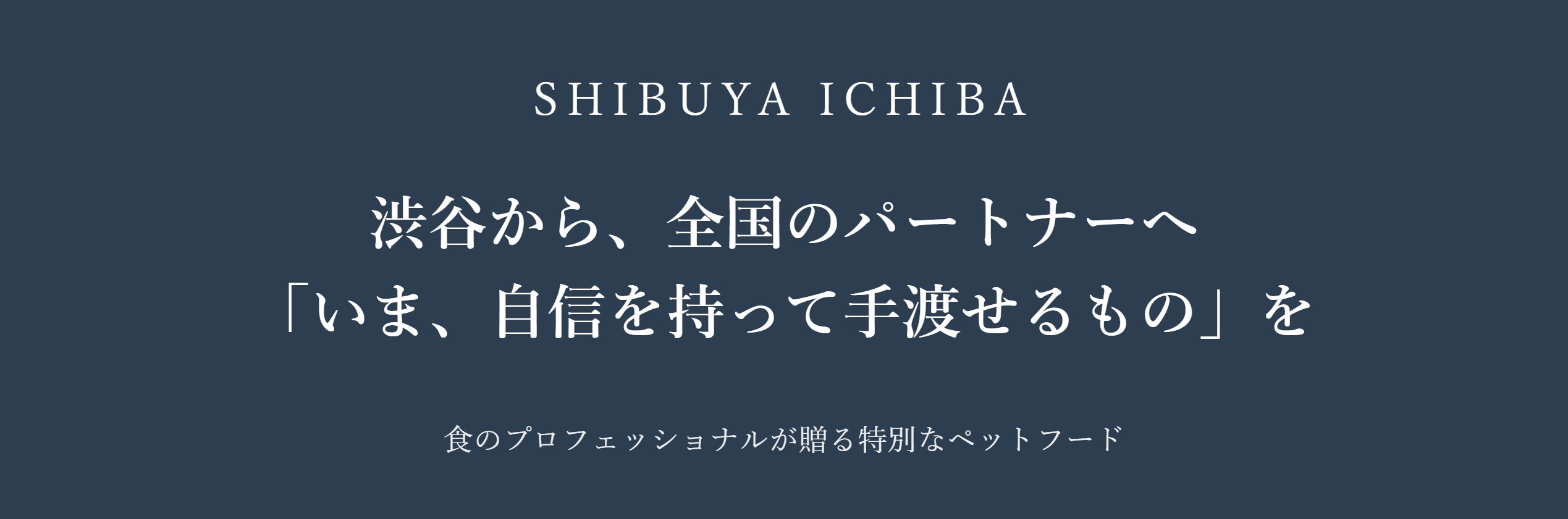 しぶいちのご紹介バナー