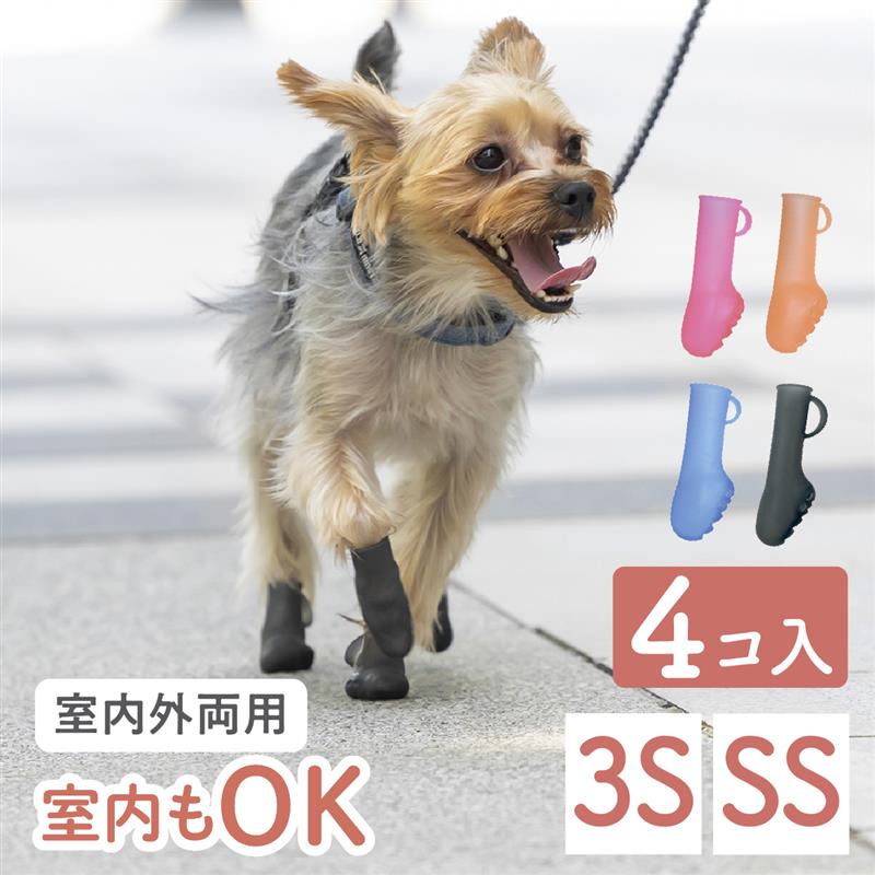 パウテクト