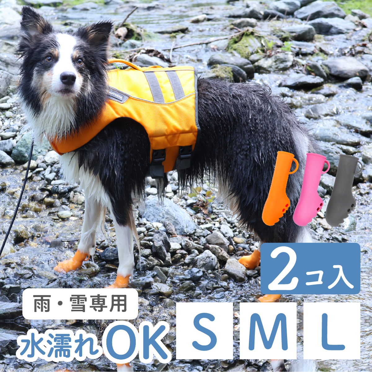 パウテクト