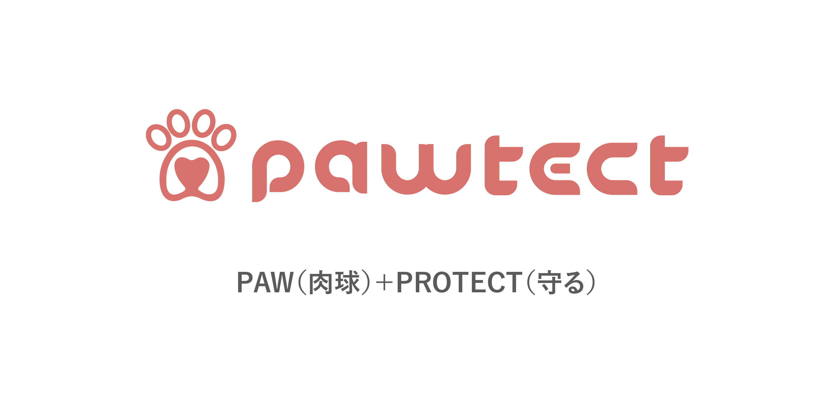パウテクト、犬用ブーツ靴