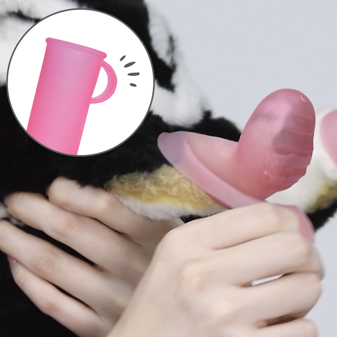 パウテクト