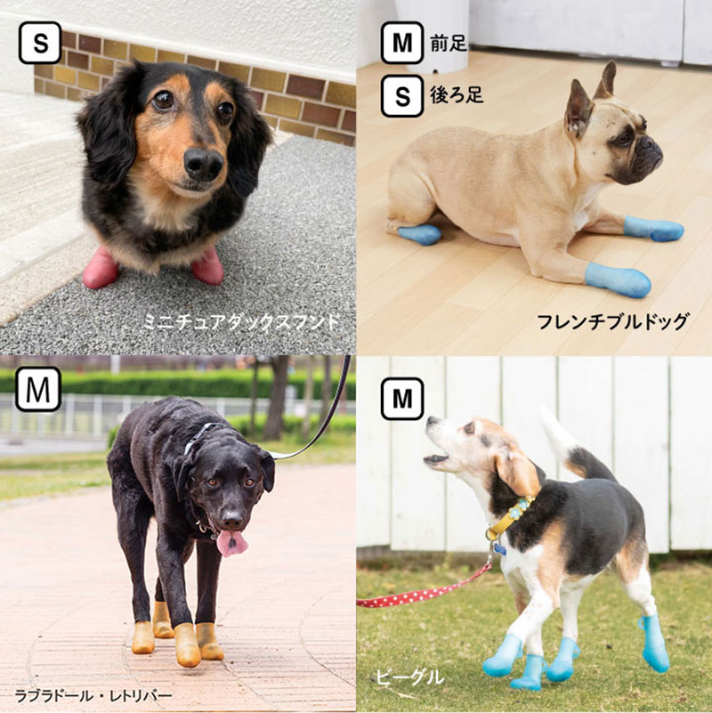 パウテクト