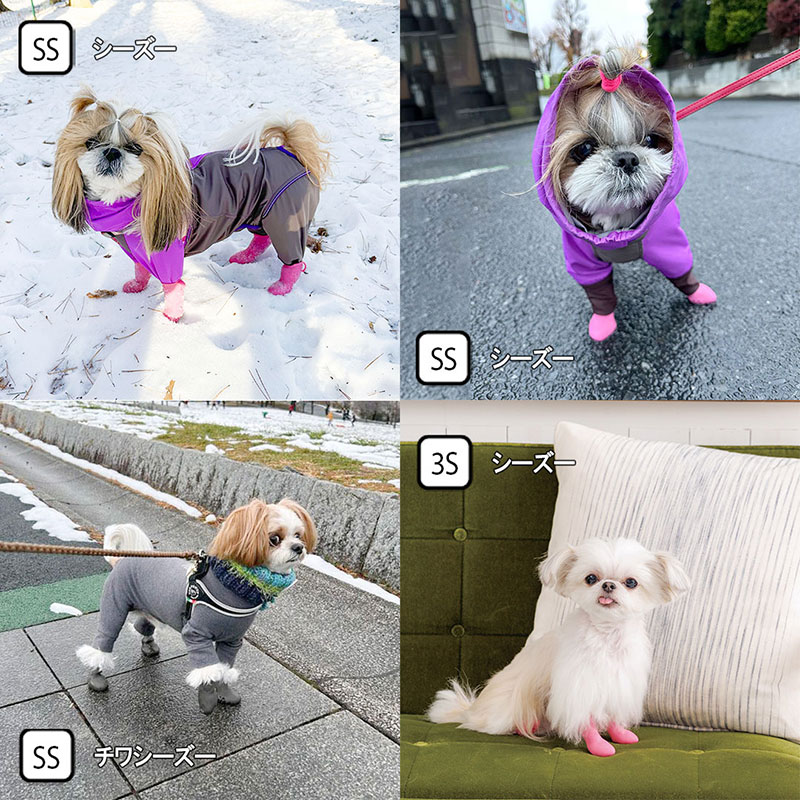 パウテクト