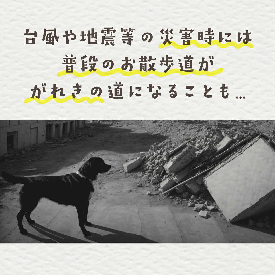 防災