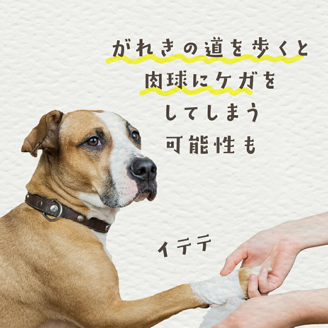 防災