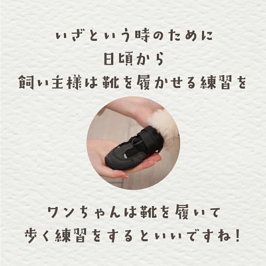 防災