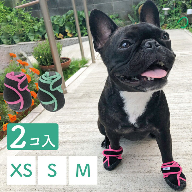 いぬたび