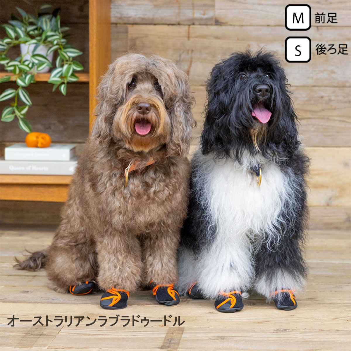 いぬたび