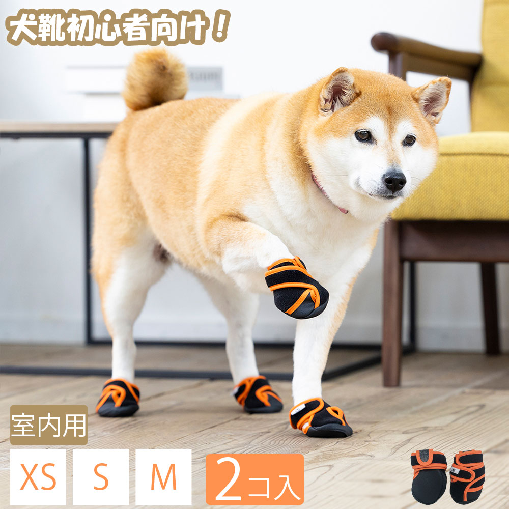 いぬたび