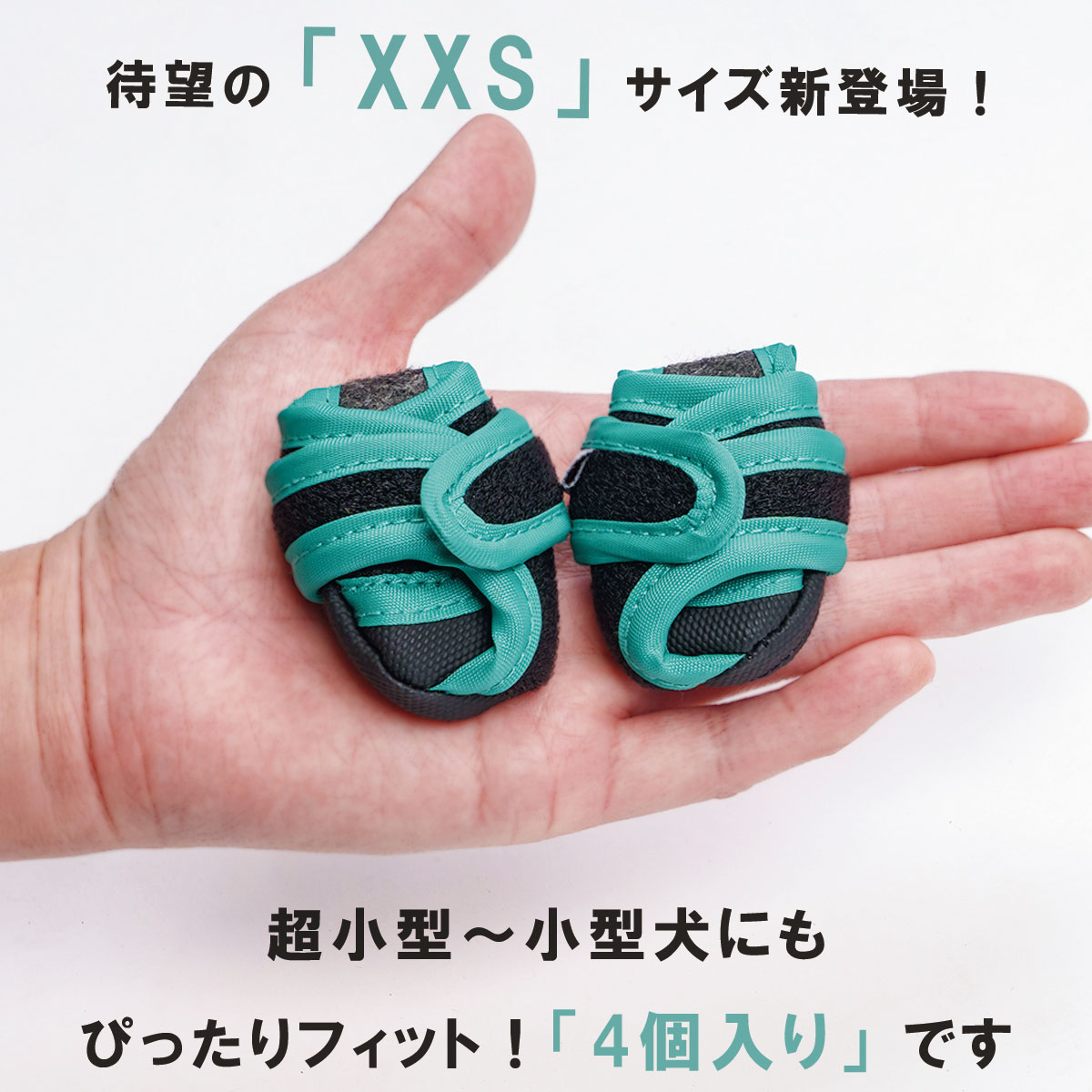 いぬたび